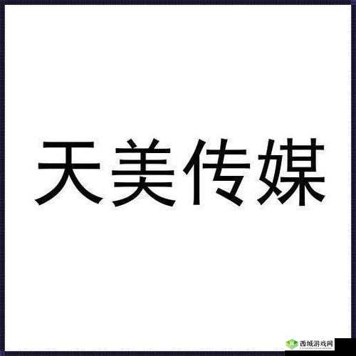 天美影视传媒有限公司:专注影视制作