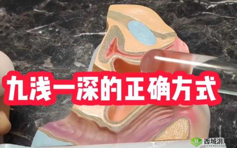 九浅一深左右研磨怎么调：技巧与方法探讨