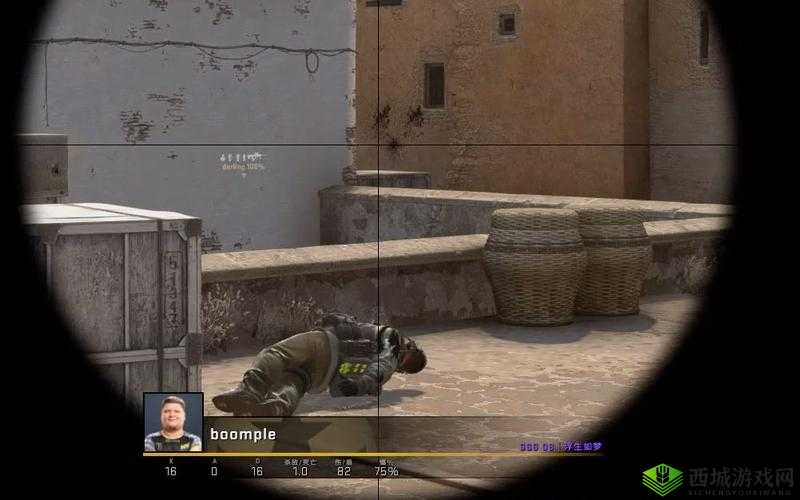 csgo 暴躁姐姐精彩瞬间:开枪爆头、精准狙杀