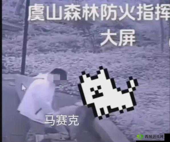 亲吻拔萝卜原声:深夜的秘密