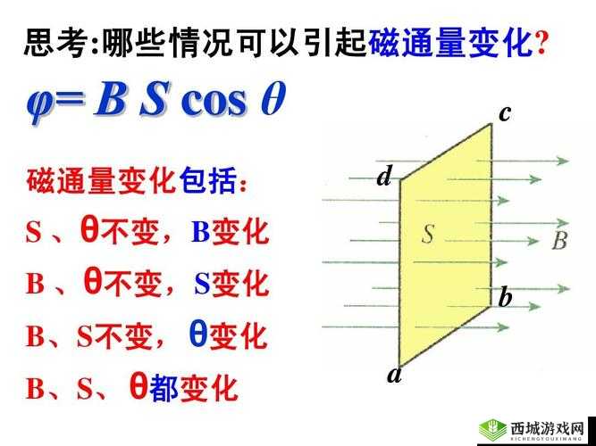 B 大与小的区别:探究其内在因素