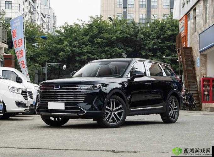 497799 欧洲版的国产 SUV：性能卓越新选择