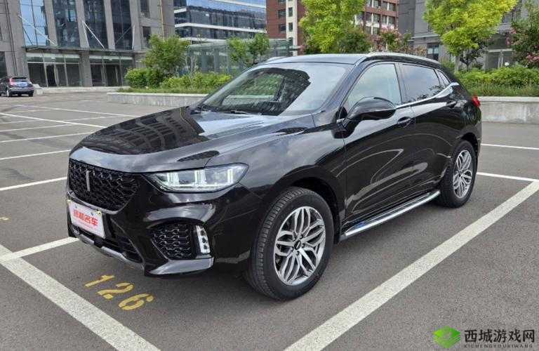 WEYVV5 国产 SUV:魅力无限的汽车之选