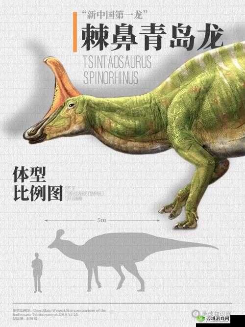 八寸长的大宝贝:神奇之物