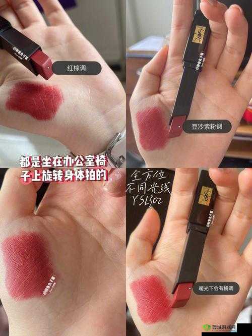 YSL 千人千色 8434- 魅力无法阻挡