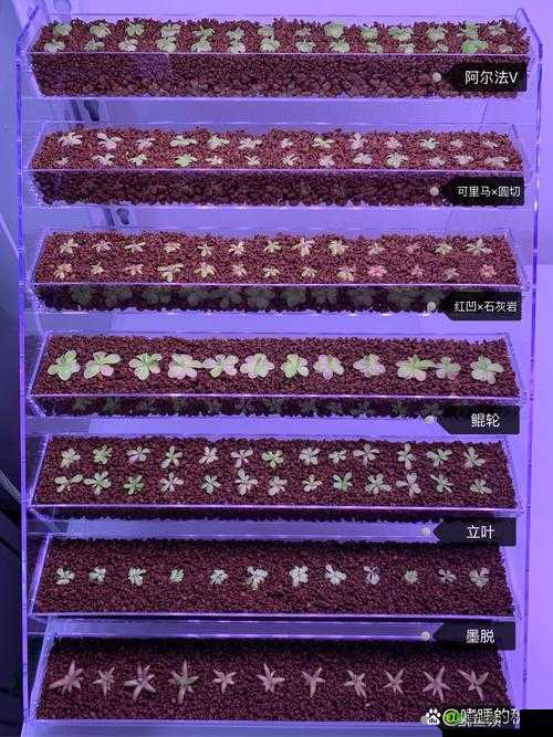刘海吕芳小说最新章节更新时间:敬请期待