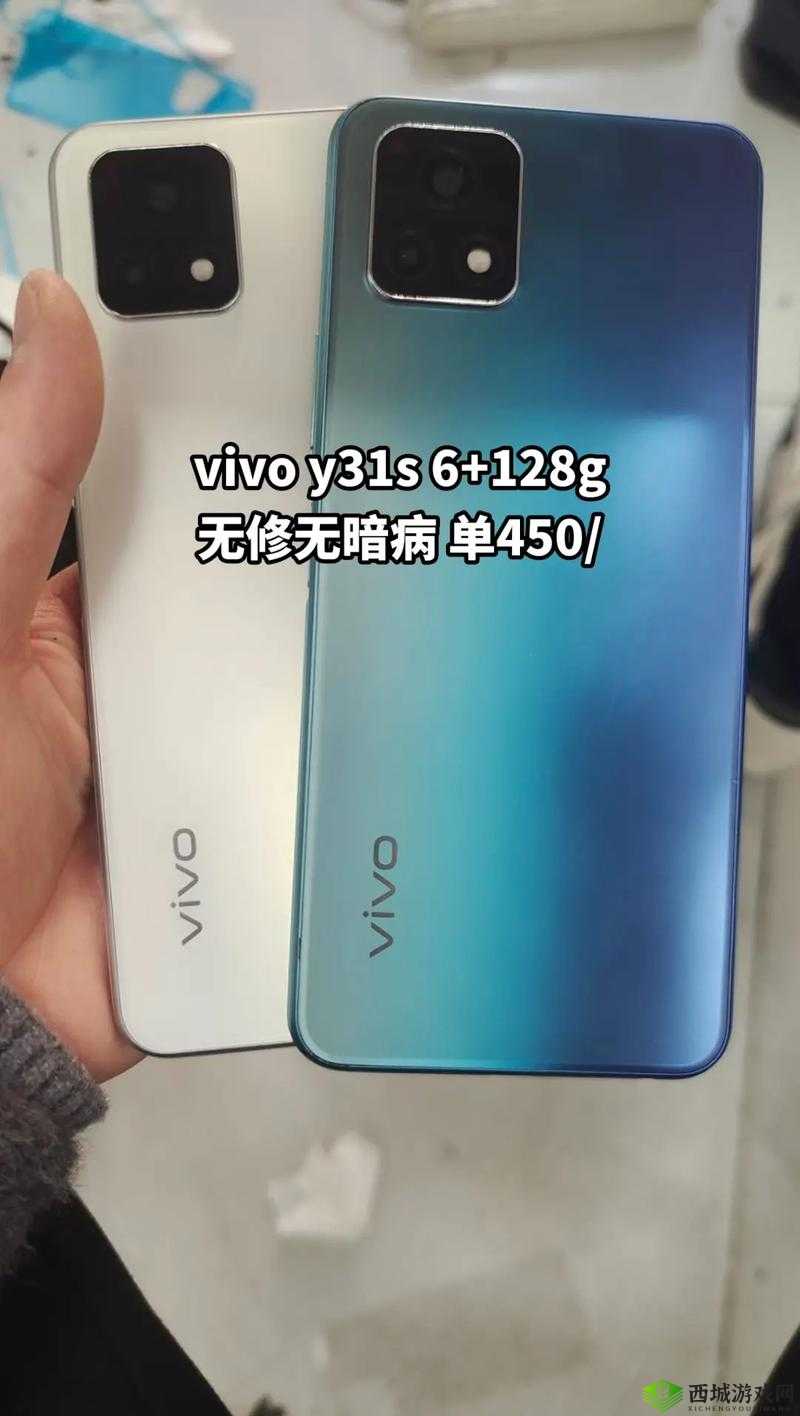 y31s和y31s标准区别更新了许多海外直播间直呼:深度剖析其影响与变化
