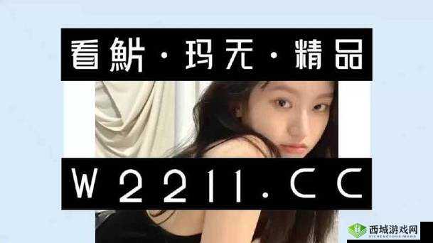 无人区码一码二码三 MBA 智库:探索知识的神秘领域