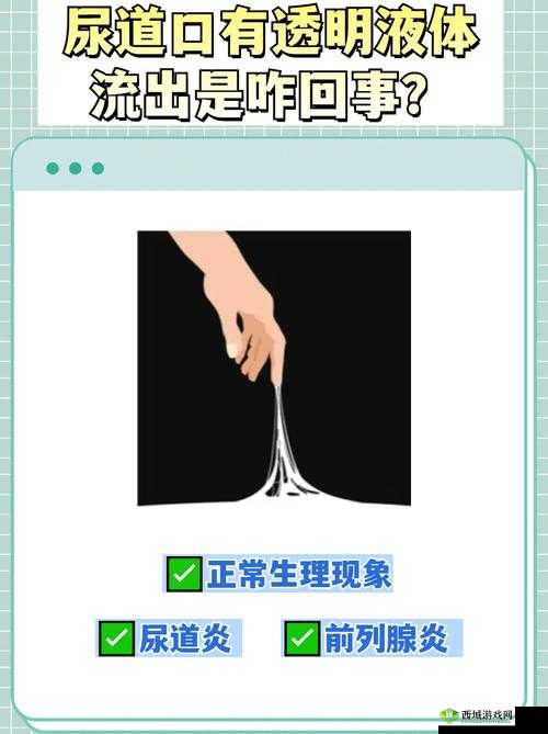 下面流了好多透明液体怎么回事:专家详细解读与应对措施