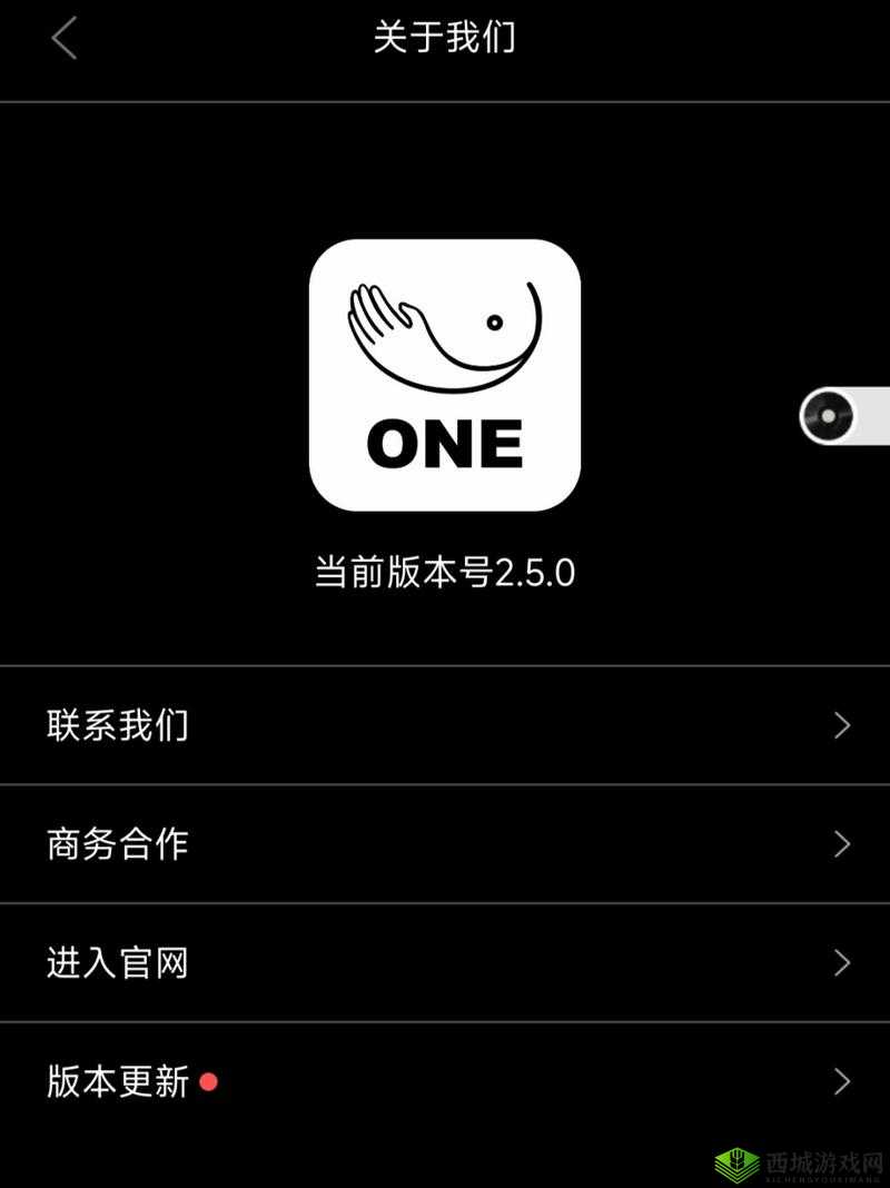 one一个成年版致敬韩寒怎么下载:详细解析与获取指南