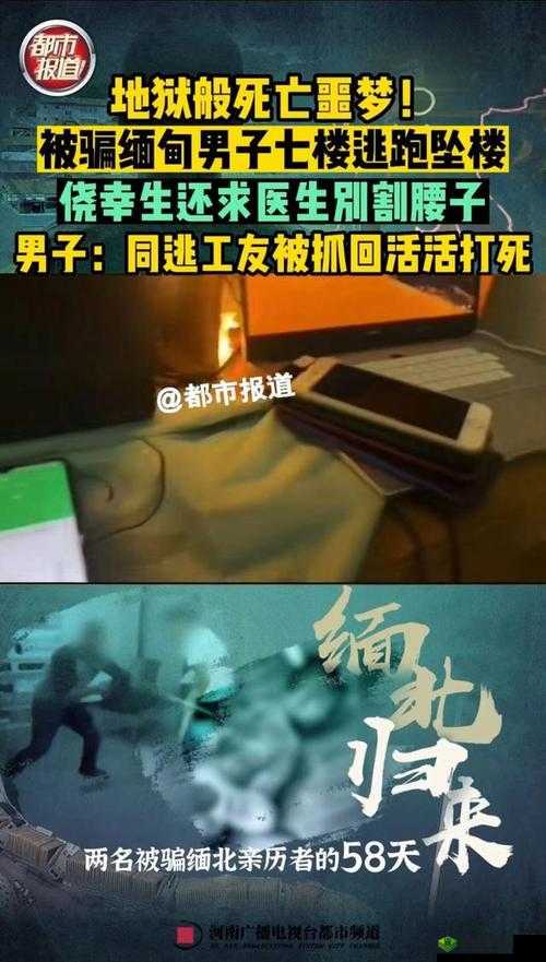 缅北禁区恐怖网站:揭秘真实的缅北禁区,揭开恐怖背后的真相