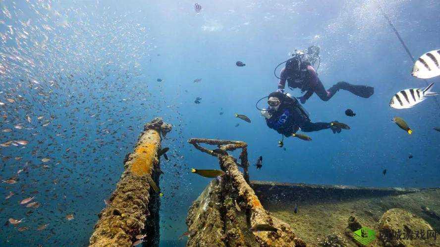 希望传说海底玩法曝光 新场景一览,资源管理、高效利用与价值最大化
