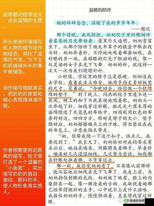 近相亲祖母 60 免费:跨越年龄的温暖亲情故事