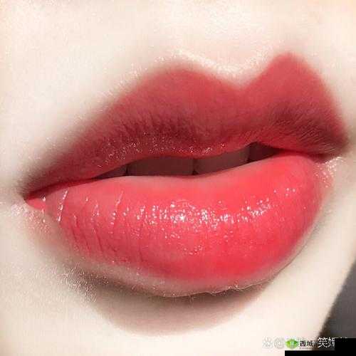 YSL 蜜桃色 13569 :打造专属魅力妆容的秘密武器