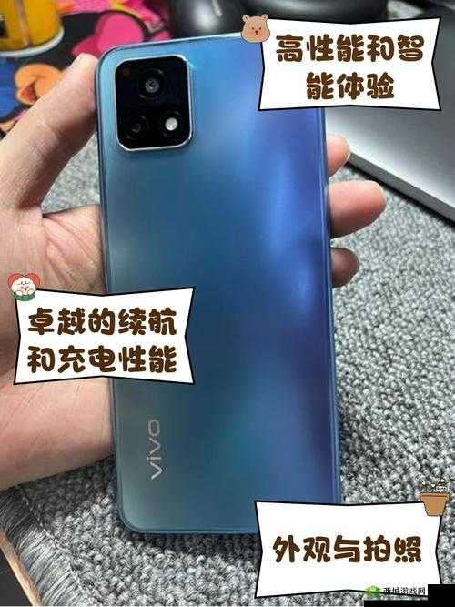 一级成色好的 y31s 标准版评测:全方位深度解析