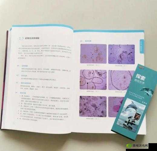 娇小交片:探索微观世界里的精彩与奥秘