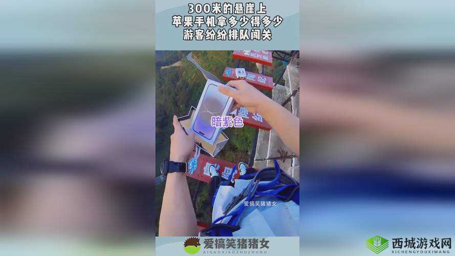两福建表兄妹通过网络分享幼儿视频:路径特点引争议