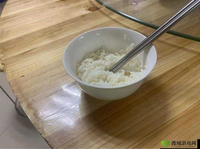 半熟米饭 1984:一场别样的奇妙探索之旅