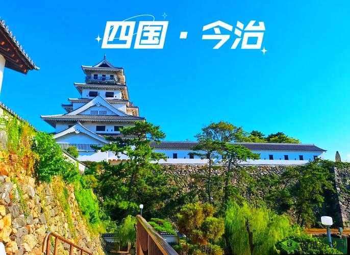 日本欧洲美国韩国旅游攻略:探索四国独特文化与美食的最佳路线推荐