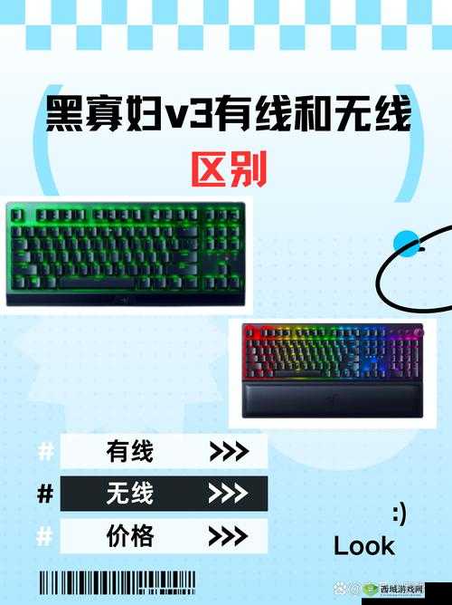 黑寡妇V3有线和无线版本对比:性能、延迟与使用体验全面解析