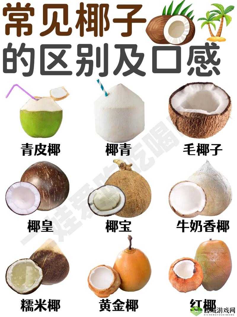 悠长假期，椰子怎么卖？出售方式介绍