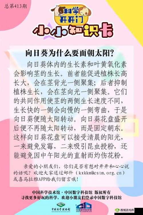 悠长假期，向日葵的底层逻辑与操作映射详解