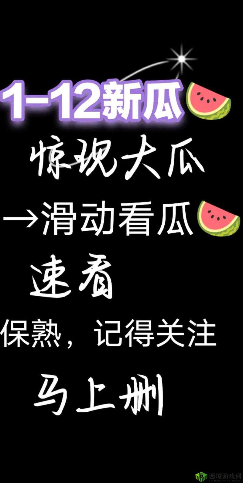 大瓜 9.1 免费版网站:你想知道的都在这里