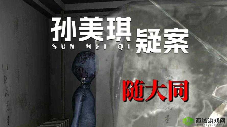孙美琪疑案郎威，揭开账目线索的神秘面纱
